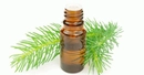Çam Esansı Özellikleri ve Faydaları Nelerdir?